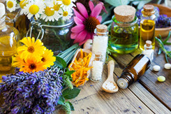 Phytotherapie - Onlinekurs